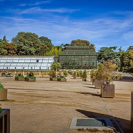 公寓 Service - Vue Sur Le Musee - 5 - Flat-guest