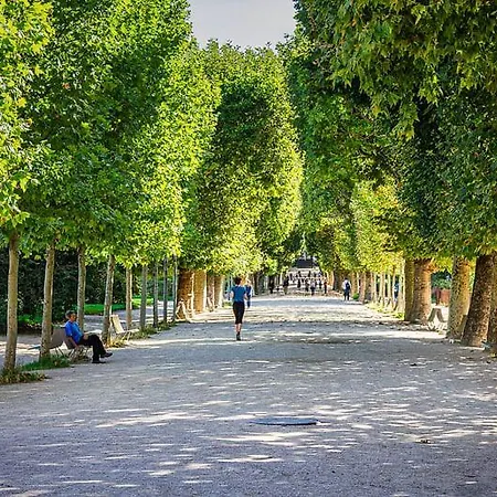 公寓 Service - Vue Sur Le Musee - 5 - Flat-guest