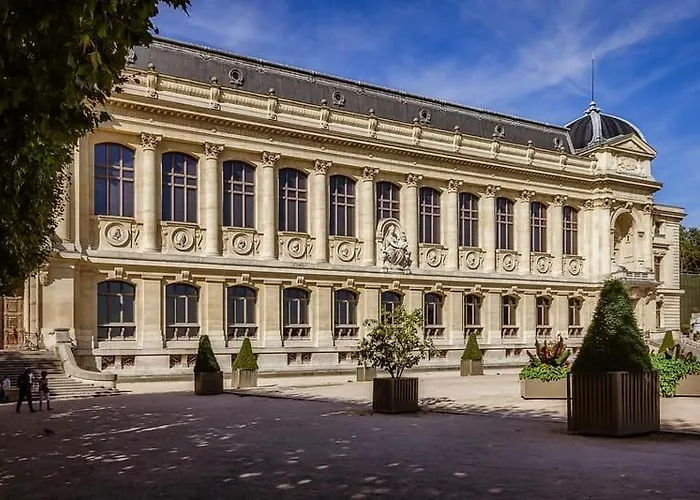 Service - Vue Sur Le Musee - 5 - Flat-guest Paris
