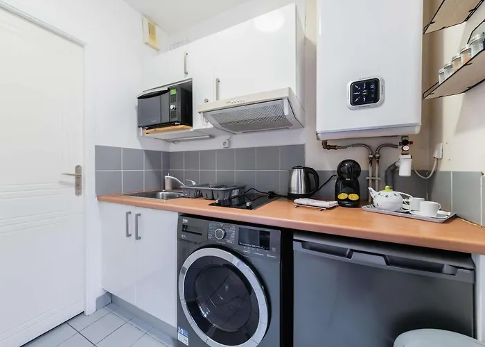 Service - Vue Sur Le Musee - 5 - Flat-guest * Paris